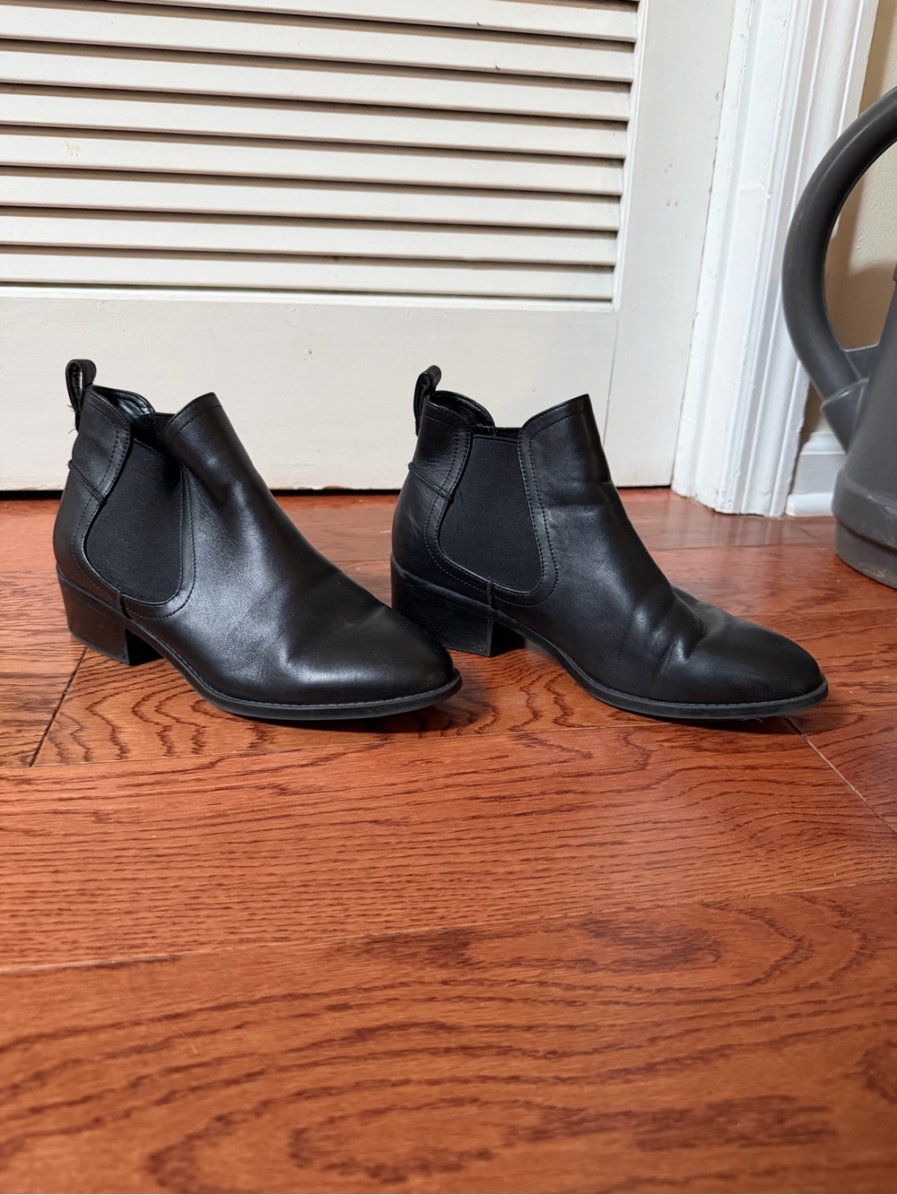 Steve Madden ankle boots